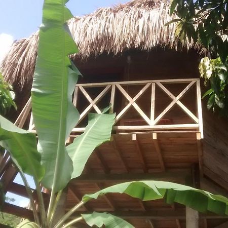 Posadas Ecoturisticas Seineken El Zaino Luaran gambar