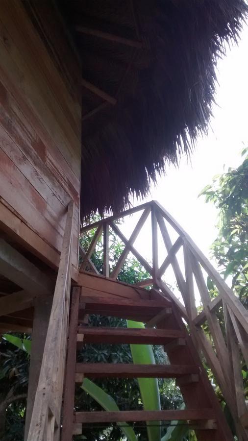 Posadas Ecoturisticas Seineken El Zaino Luaran gambar