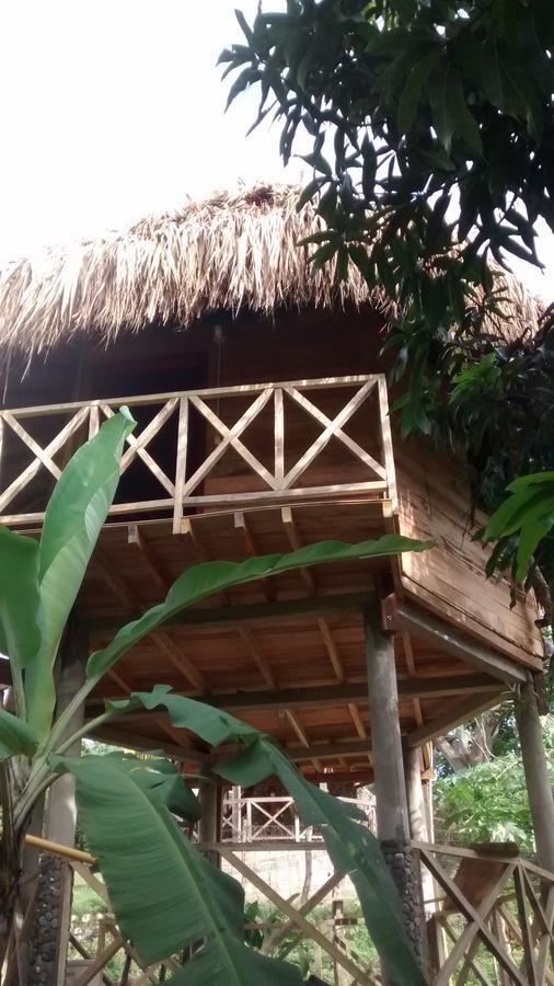 Posadas Ecoturisticas Seineken El Zaino Luaran gambar